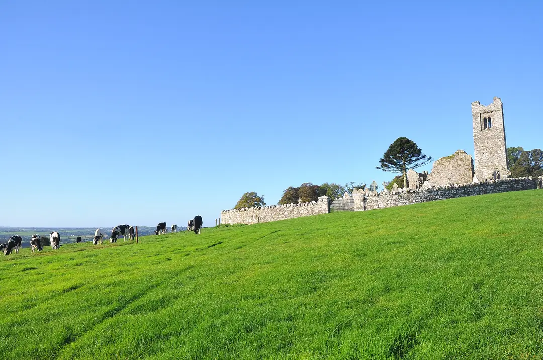 Hill of Slane travel guide featuring historic ruins and lush landscapes
