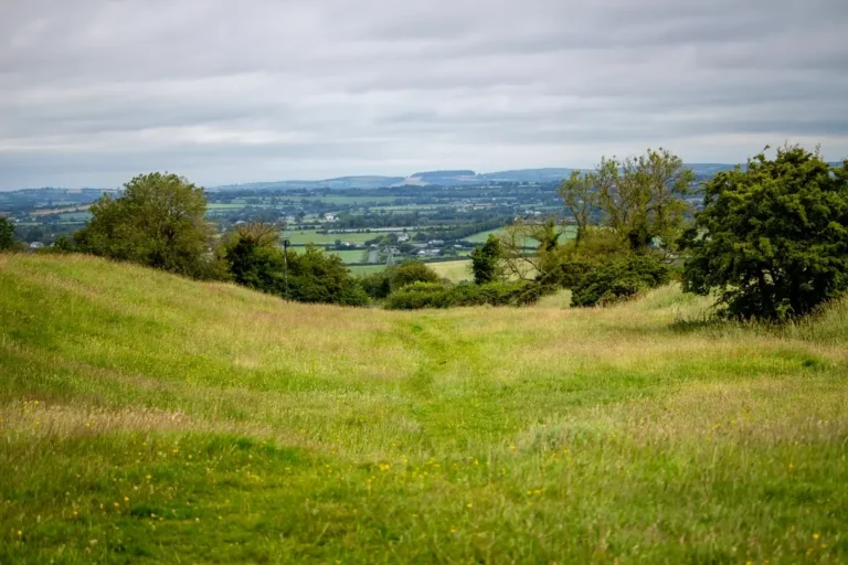 Hill of Tara for Families